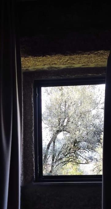 Casa Nova Das Oliveiras Braga Eksteriør billede